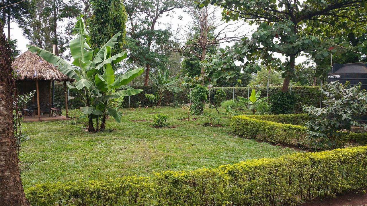 Mama Simba Bed And Breakfast Moshi Exterior photo